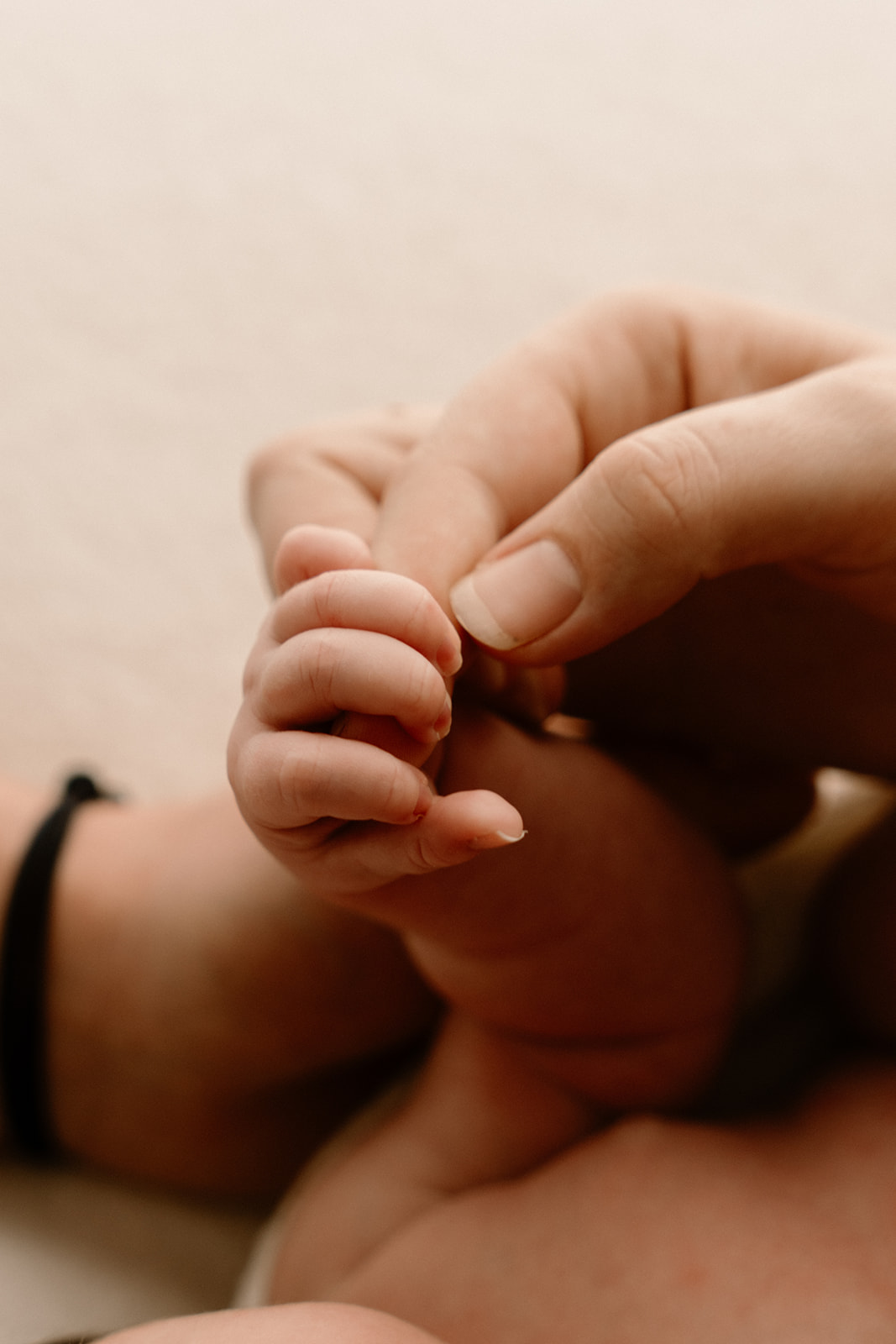 photographe bebe drome